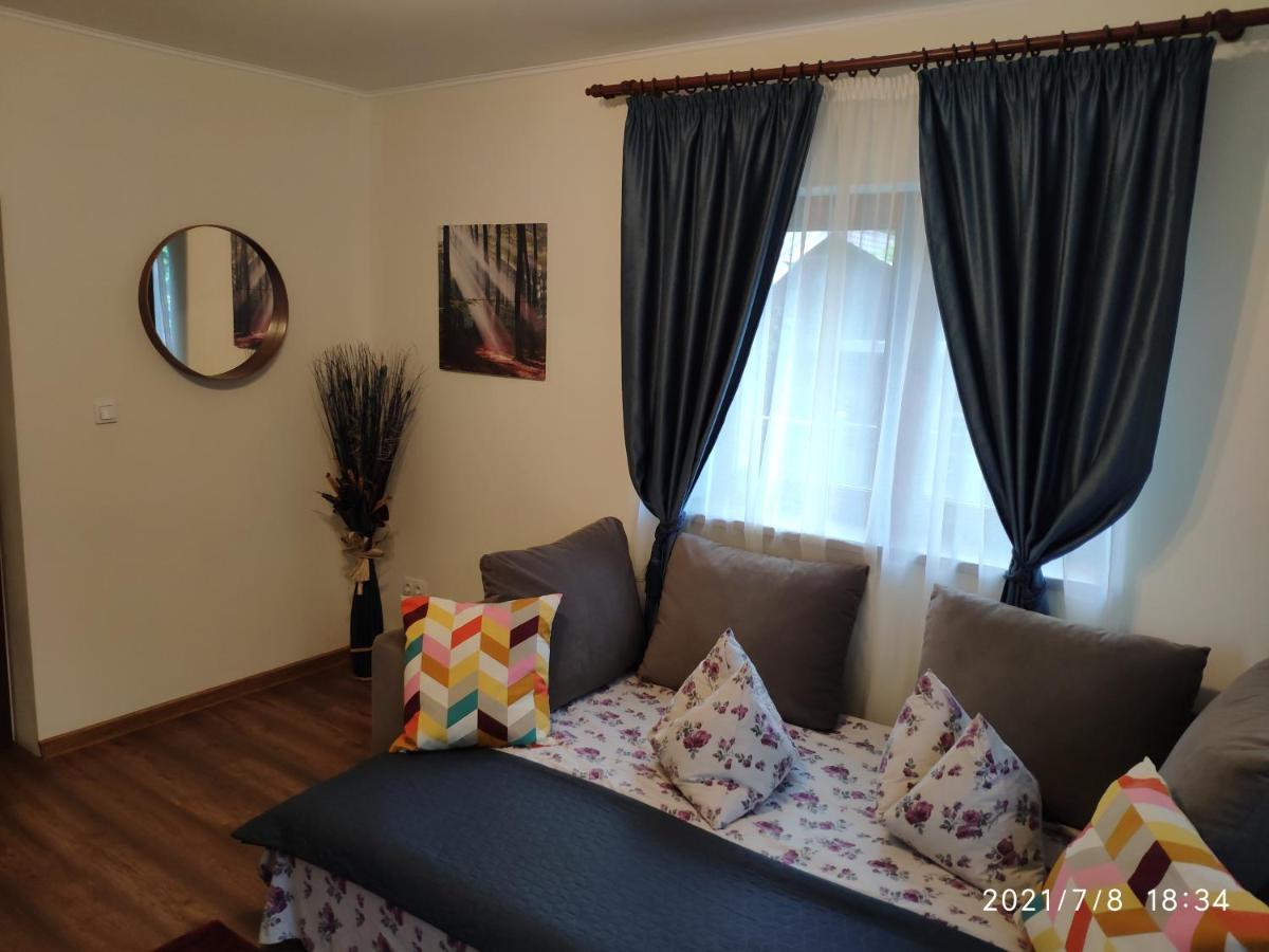 Cozy House Sinaia Villa Dış mekan fotoğraf
